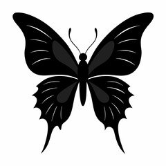 Black swallowtail butterfly silhouette insect white