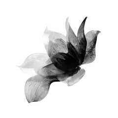 Abstract monochrome flower, ink wash style