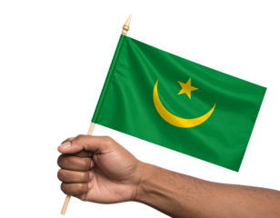Hand Holding Small Mauritania Flag on Wooden Stick, Front-Tilted View, Isolated PNG.
