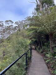 Obraz premium Snapshot in Blue Mountains, Australia 2025