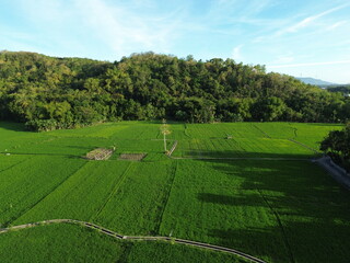 Aerial View of Verdant Agricultural Fields With Pathways and Rural Huts