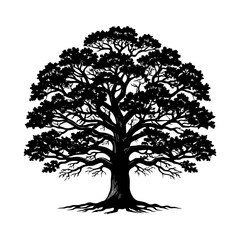 Obraz premium Silhouette tree vector illustration of a large oak tree with roots and branches for graphic design needs