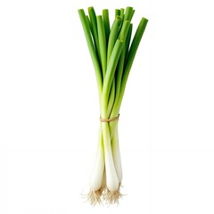 Fototapeta premium Fresh green onions tied with twine spring scallions
