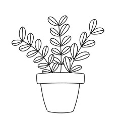 vector illustration of a plant