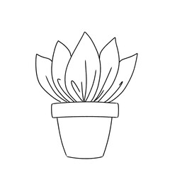 vector illustration of a flower