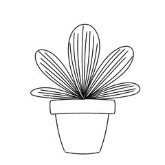 flower pot vector