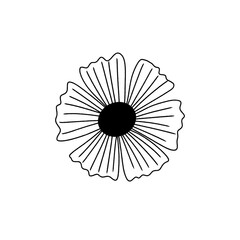 white flower on black background