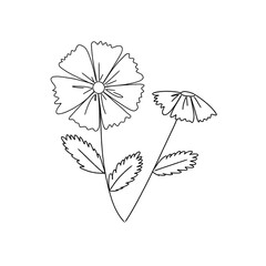 vector illustration of a flower
