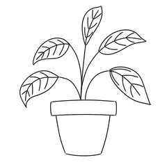 vector illustration of a plant