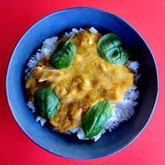 A top view of butter chicken and white rice in a bowl.