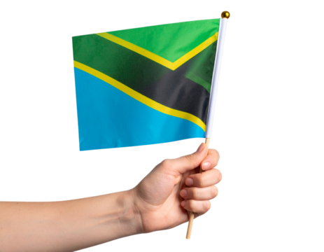Hand Holding Mini Tanzania Flag on Wooden Stick, Slight Forward Tilt, Isolated PNG.