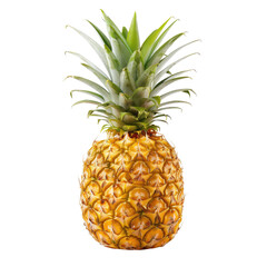 Fototapeta premium Single pineapple, bright yellow, green crown