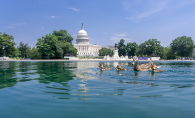 Capitol Reflecting Pool in Washington, DC. U.S. Capitol. Washington DC skyline featuring the...
