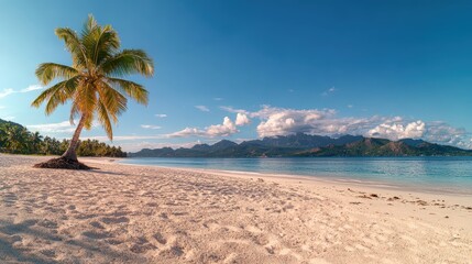 Idyllic tropical beach with single palm tree sandy shore calm ocean and mountain views under blue sky