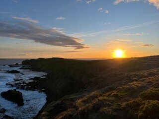 Random snapshot in Australia 2025