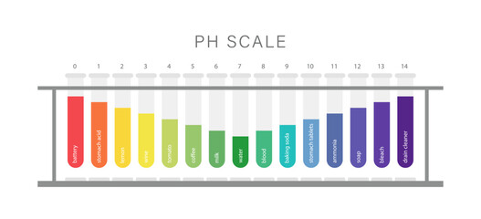 PH Scale. Level of acid and alkaline balance. Ph analysis or chemical test. Education Poster. Flat Vector illustration.