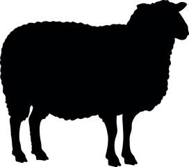 Black sheep silhouette vector