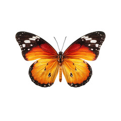 Naklejka premium Vibrant orange and white butterfly, wings spread wide against black background. Detailed wings with speckled patterns