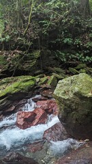 waterfall in the forest