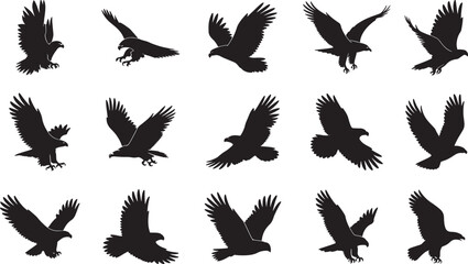 Collection of black eagle silhouettes in various flight poses bird flying