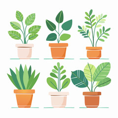 Obraz premium Six Vibrant Houseplants in Terracotta Pots