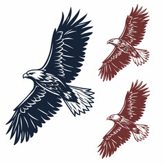 Dark blue and maroon eagles in flight bird flying