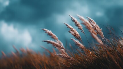 Swaying field of vibrant herbal plants under a moody blue sky