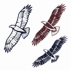Textured flying eagles in dark blue and maroon bird wings