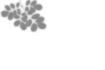 Leaf Cluster Shadow,
Single rounded botanical leaf shape appearing from edge with soft gradient transparency — PNG shadow for branding use