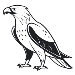 Majestic eagle standing profile bird raptor
