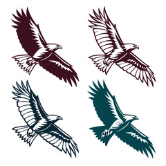 Majestic Eagles in Flight falcon bird