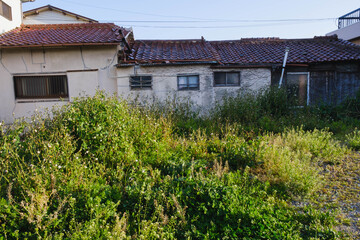 元気に育つ草とレトロな家屋、大阪、日本