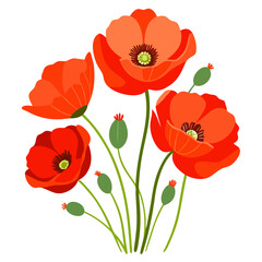 Naklejka premium poppy flowers vector illustration