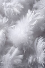 Obraz premium Abstract Closeup Of Fluffy White Feathers