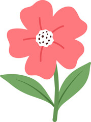 꽃