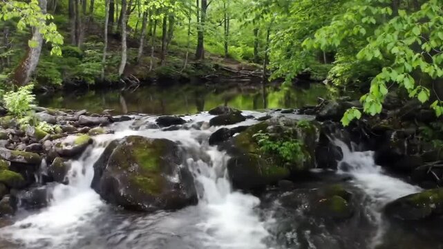 small waterfall in the forest