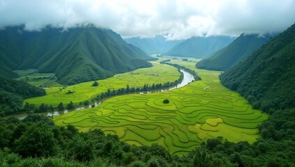 Fototapeta premium Serene Landscape of Verdant Rice Terraces with Flowing River and Misty Mountains