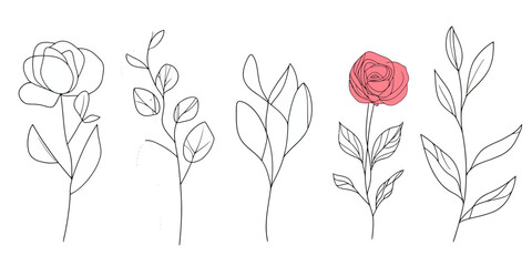 Minimalist continuous line art floral elements with red rose and delicate leaves isolated on white background vector illustration editable stroke design