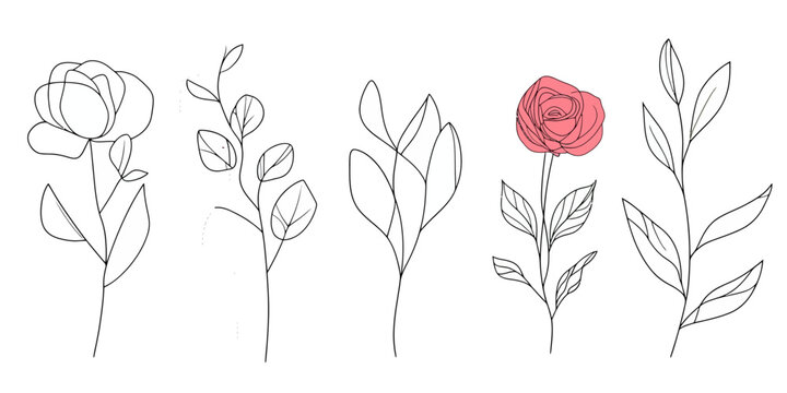 Minimalist continuous line art floral elements with red rose and delicate leaves isolated on white background vector illustration editable stroke design