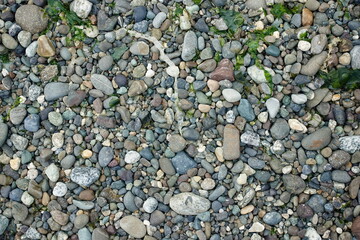 beach pebbles in the Pacific Northwest