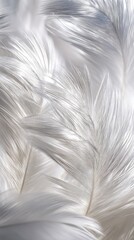 Close Up Detailed White Feather Texture With Silver Highlights