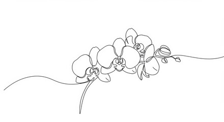 Elegant minimalist line art showcasing delicate orchid blossoms in continuous style