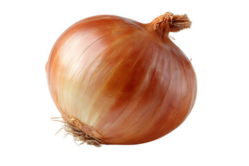 Close-up studio shot of a golden onion against a solid black background