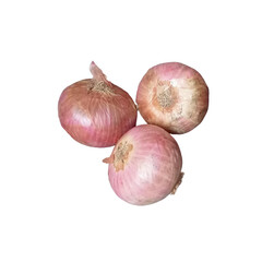 Onions png image or photo 
