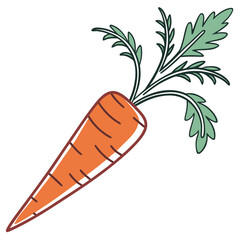 carrot vector illustration