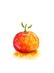 Watercolor orange illustration on a white
