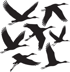 Flying flamingo Silhouettes vector set. Black silhouette of tropical  flamingo bird vector. Elegant silhouettes of flamingos