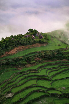 Maligcong Rice Terraces, Mt. Province, Philippines