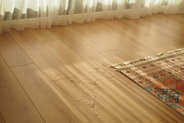 Water spill on wooden floor near colorful rug in sunlight