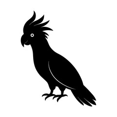 Fototapeta premium Silhouette of a cockatoo exotic bird avian animal vector art